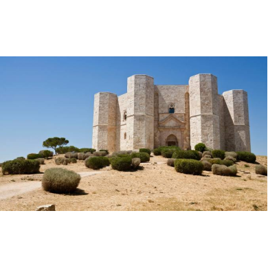 1008 - Del Monte castle - Hobbycity.gr - Aedes