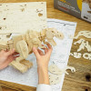 D210 - Walking T-Rex by Sound Control System - Hobbycity.gr - Rokr