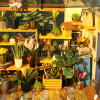 DG104 - Cathys Flower House με Φωτισμό - Hobbycity.gr - RoLife