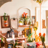 DG108 - Millers Flower House με Φωτισμό - Hobbycity.gr - RoLife
