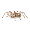 000488 - Spider με Κίνηση - Hobbycity.gr - EWA ECO-WOOD-ART