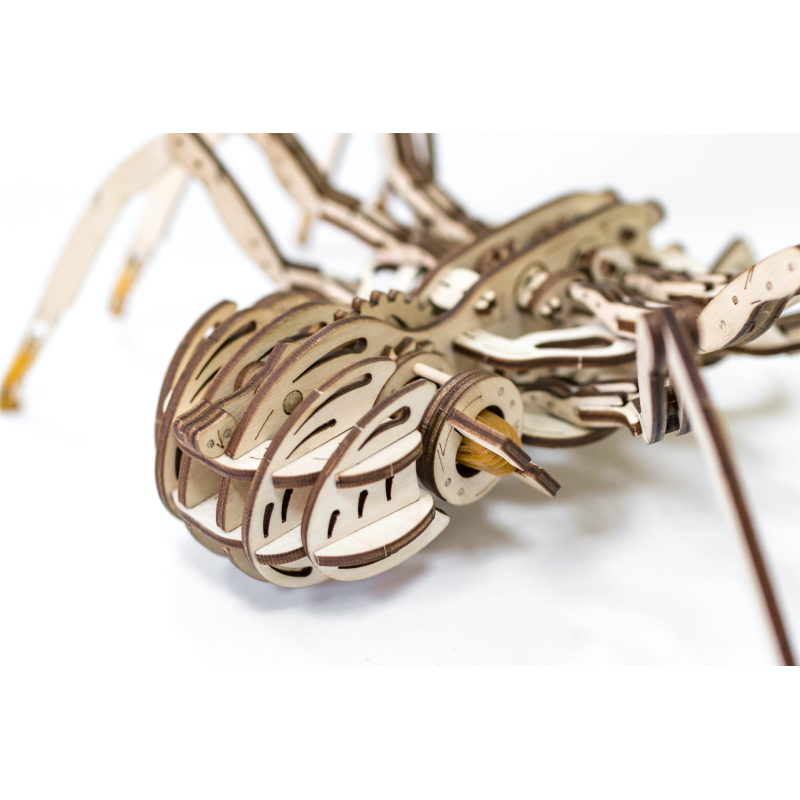 000488 - Spider με Κίνηση - Hobbycity.gr - EWA ECO-WOOD-ART