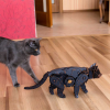002598 - Black Cat με Κίνηση - Hobbycity.gr - EWA ECO-WOOD-ART