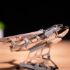 MT001SE - Ukranian DREAM SE OFFICIAL Cargo Aircraft - Hobbycity.gr - Metal Time