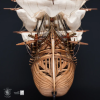 PR001 - HMS Victory - Hobbycity.gr - OcCre