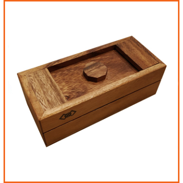 SECRET MONEY BOX