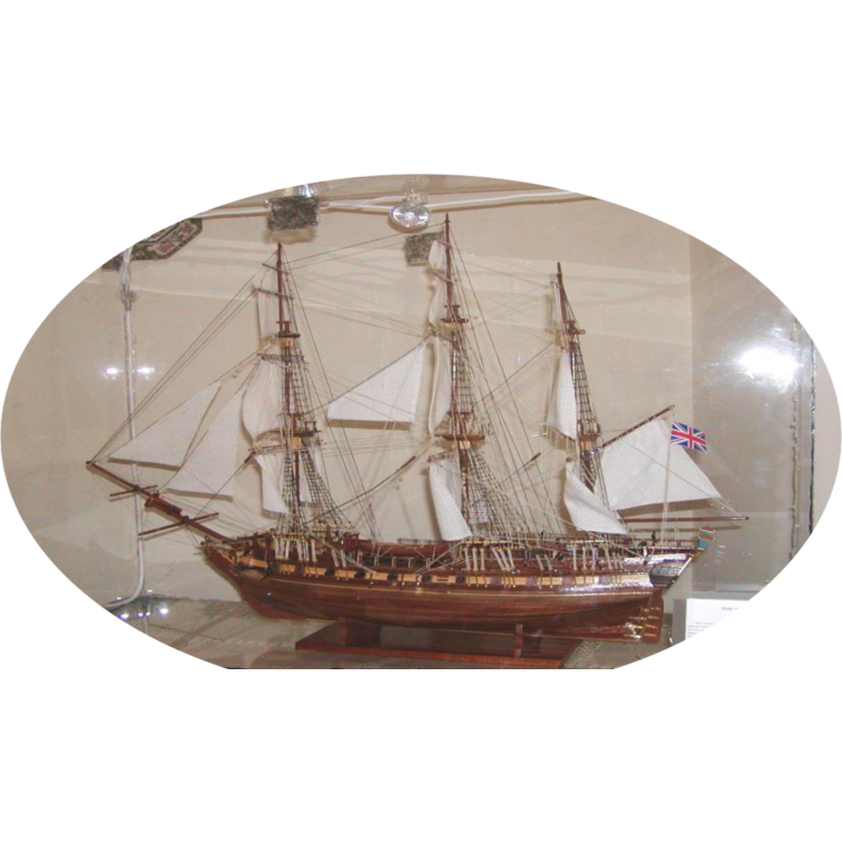 80824 - Pandora  1:85 - Hobbycity.gr -