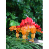 OBWS0448 - Stegosaurus - Hobbycity.gr - Open Brick Source