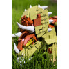 OBWS0451 - Triceratops - Hobbycity.gr - Open Brick Source