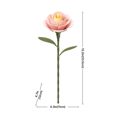 Light Pink Camellia 