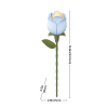 AD021 - Blue Rose - Hobbycity.gr - Rokr