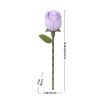 AD022 - Lavender Rose - Hobbycity.gr - Rokr