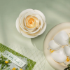 AF011 - Λευκή Camellia - Hobbycity.gr - Rokr
