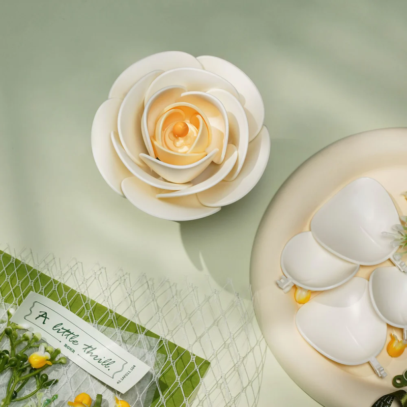 AF011 - Λευκή Camellia - Hobbycity.gr - Rokr