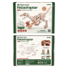 LD01 - Velociraptor Mechanical 3D Wooden Puzzle - Hobbycity.gr - Rokr