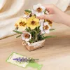 TF002 - Narcissus DIY Flower Bouquet Wooden 3D Puzzle - Hobbycity.gr - Rokr