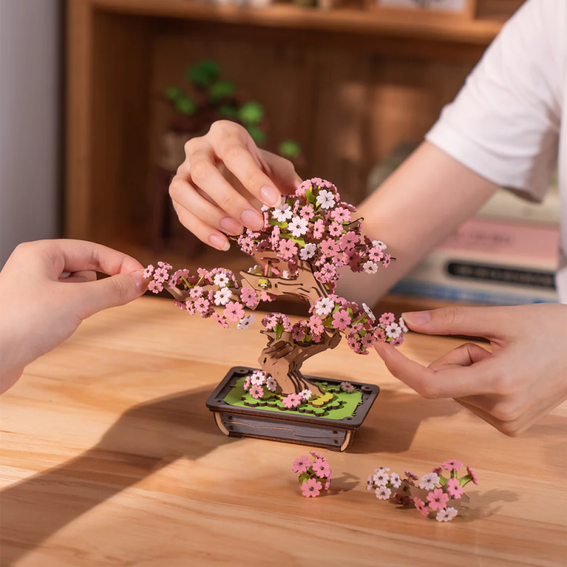 TG415 - Sakura Bonsai - Hobbycity.gr - RoLife