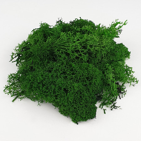 Πράσινα Βρύα 25 gr