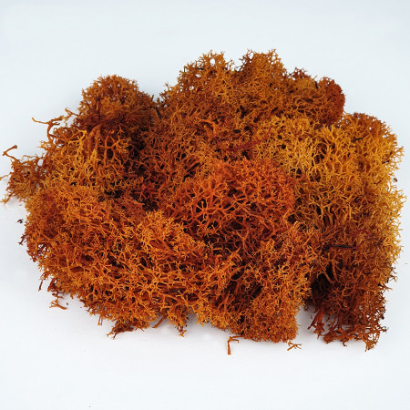 Καφέ Βρύα 25 gr