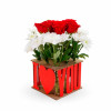 Βάζο 'I LOVE YOU'