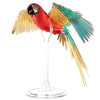 SCARLET MACAW
