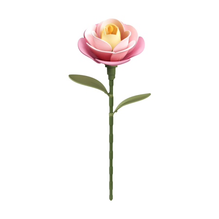 Pink Camellia 