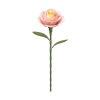 AD012 - Light Pink Camellia - Hobbycity.gr - Rokr