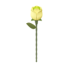 Green Rose