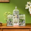 DH102 - Oxygen Oasis DIY Miniature House - Hobbycity.gr - RoLife