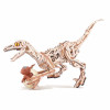 LD01 - Velociraptor Mechanical 3D Wooden Puzzle - Hobbycity.gr - Rokr