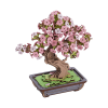 TG415 - Sakura Bonsai - Hobbycity.gr - RoLife