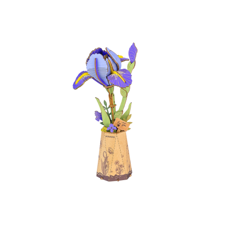 Purple Iris