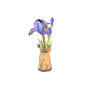 Purple Iris