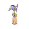 Purple Iris